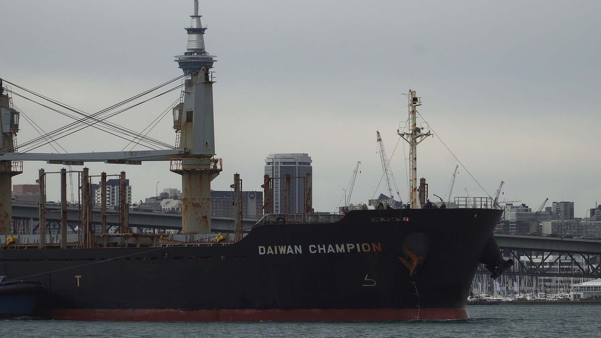 Daiwan Champion
